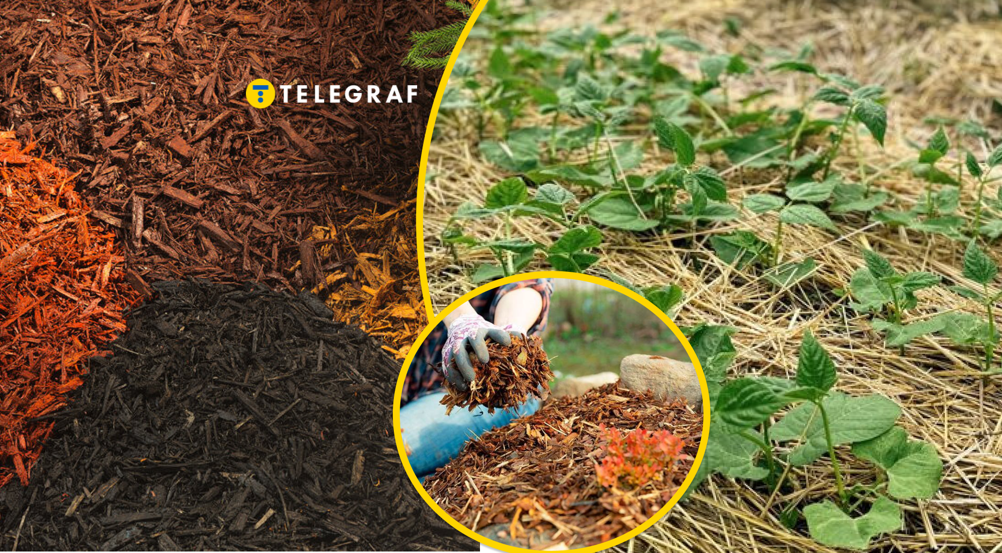 Травень буде посушливим: один спосіб зберегти вологу в ґрунті без зайвих витрат