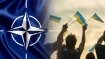 Каждый четвертый украинец хочет вступления в НАТО
