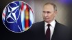 Путин преследует одну главную цель, считают в НАТО