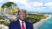 Палм-Бич и Дональд Трамп