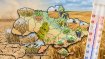 Какие культуры вытеснят традиционные