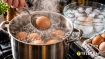Секреты легкой очистки от скорлупы