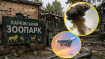Россияне не жалеют ни людей, ни животных