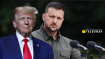 Дональд Трамп и Владимир Зеленский