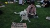 Протестующие принесли плакаты с фамилией Белецкого