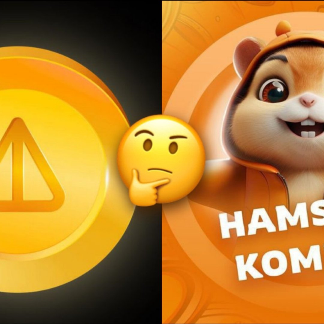 Игра Hamster Kombat — реально ли вывести деньги, ответили эксперты -  Телеграф