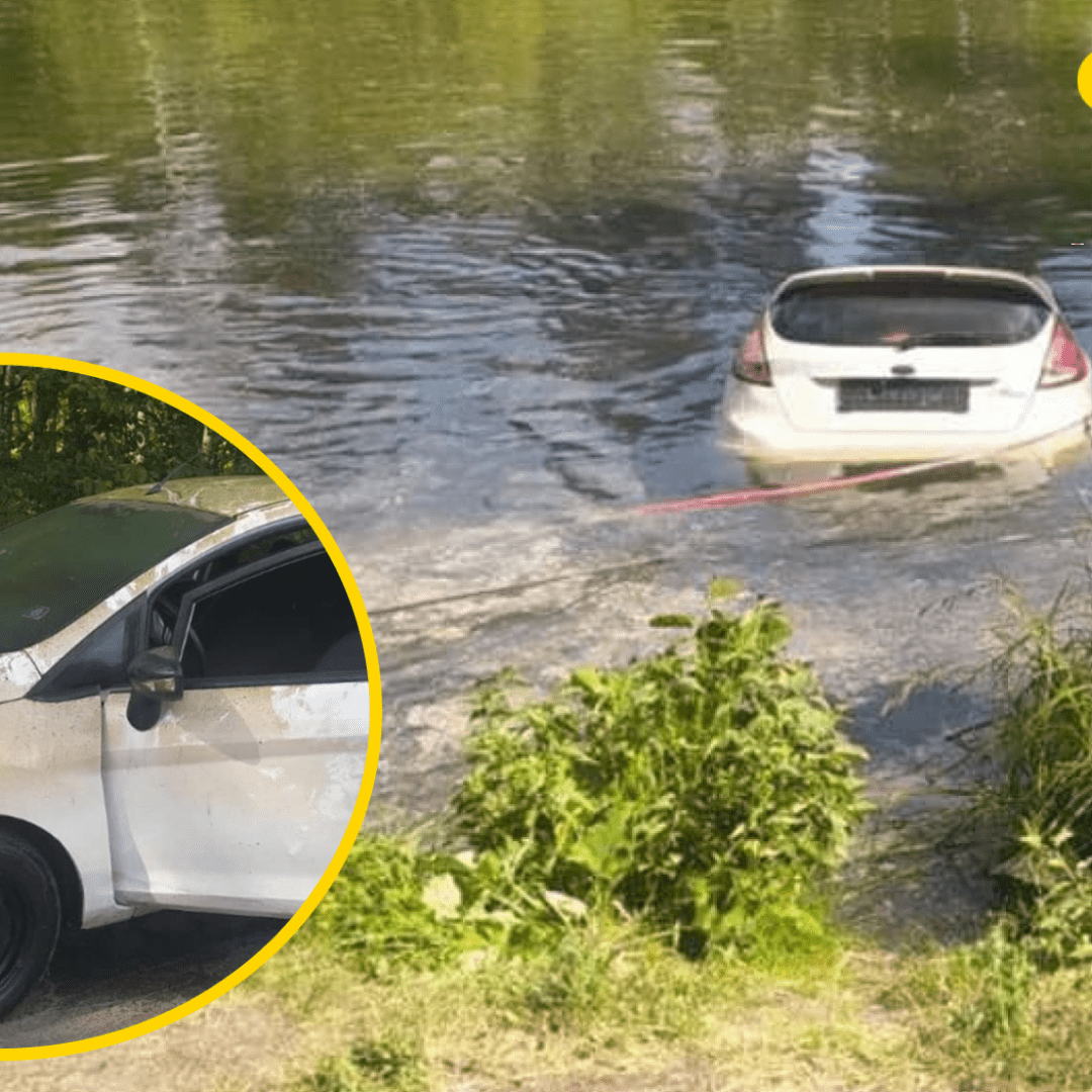 Пуща-Водица в Киеве - со дна озера спасатели достали легковушку, фото,  подробности - Телеграф