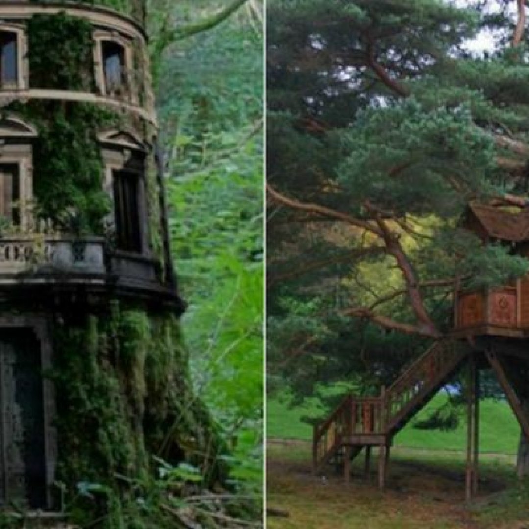 Дома на деревьях, о которых вы наверняка мечтали в детстве (Фото) - Телеграф