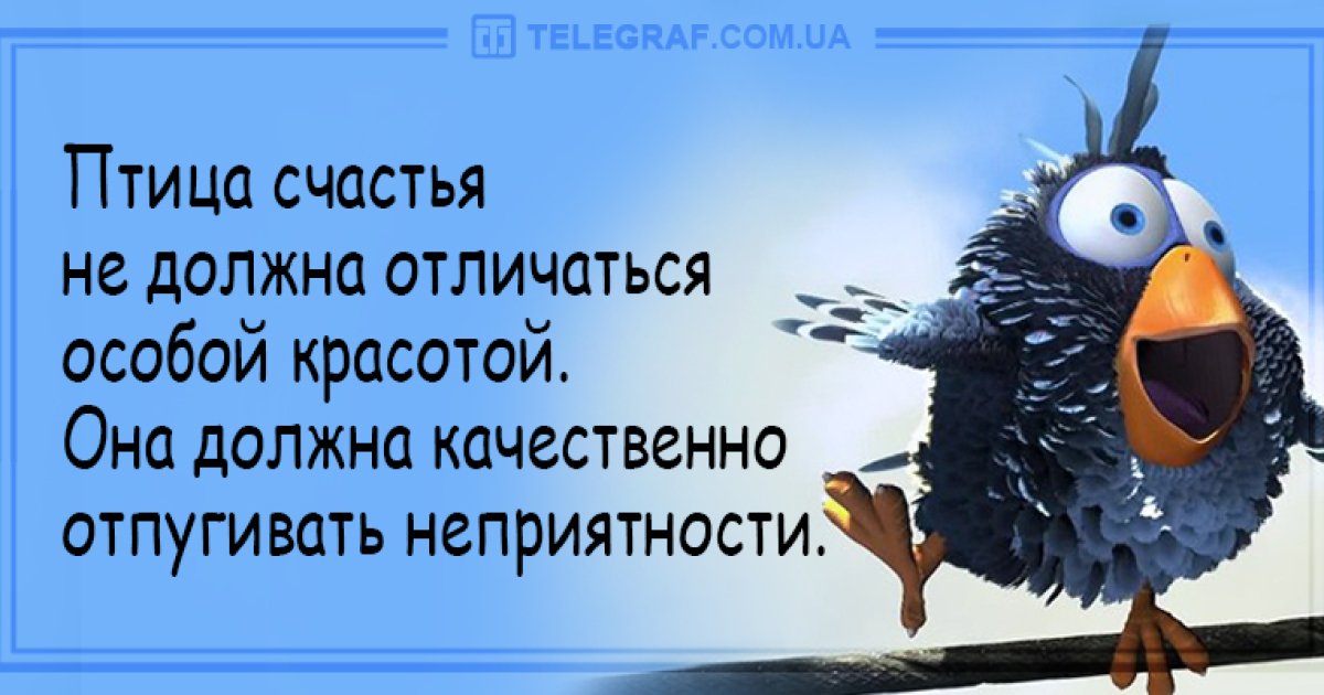 Картинки Птица Счастья Завтрашнего Дня