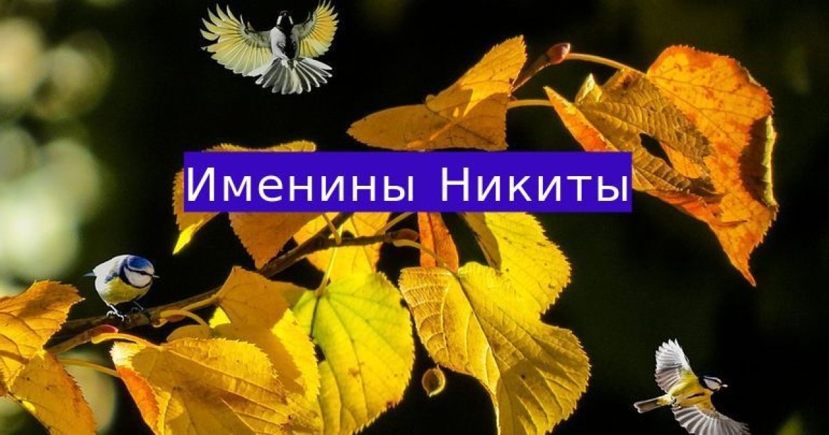 День никиты. Поздравление с именинами Никиты. Открытки с именинами Никиты. С днём ангела Никита открытки. Поздравление с днем ангела Никиты.