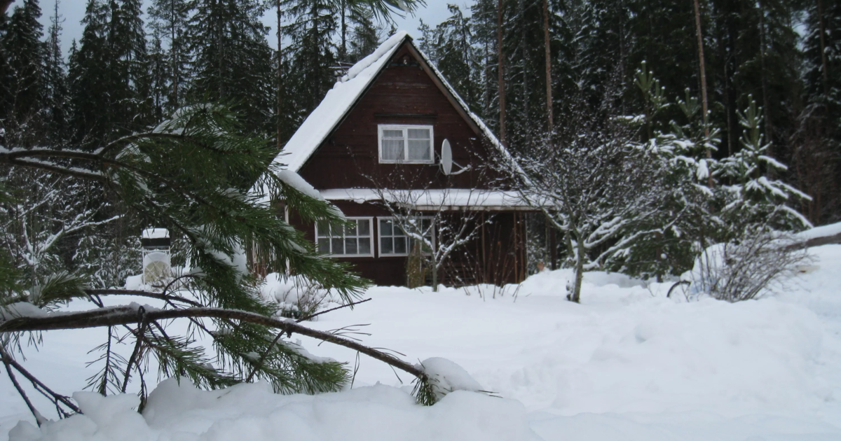 Утепление дачи – когда и как делать, как утеплить летний дом - Телеграф