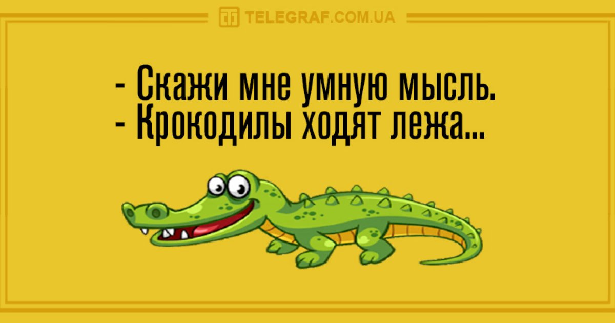 Ходить или лежать. Крокодилы ходят лежа. Почему крокодилы ходят лежа. Крокодил лежит идет. Крокодилы ходят лежа футболка.