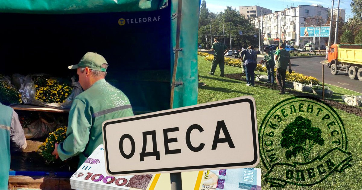 Бронь для ухилянтів та мільйонні розпили: кримінальні хроніки одеського "Міськзелентресту"