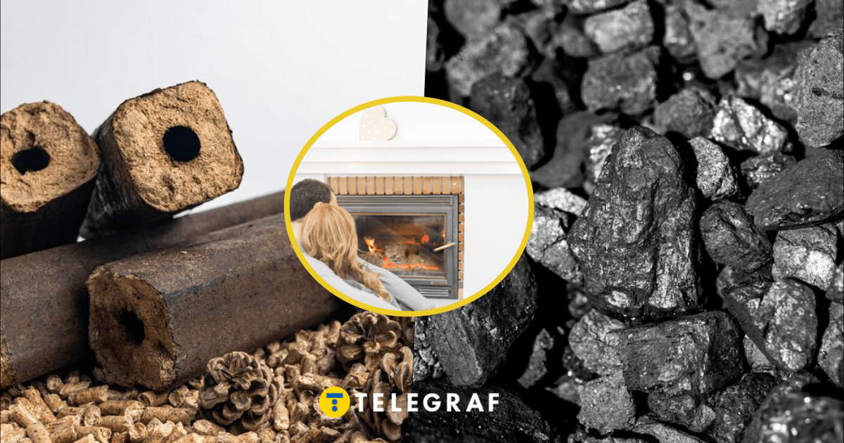 Чем выгоднее отапливать дом – сколько стоит уголь и топливные брикеты ...