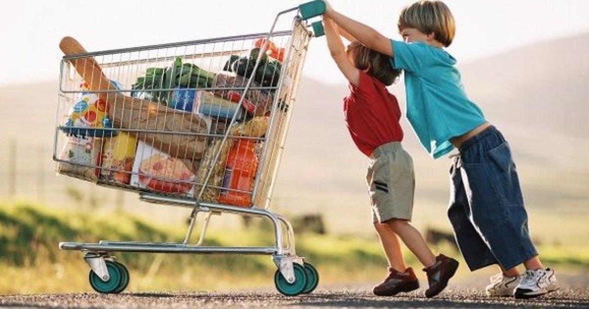 Trolly kids. Поход в магазин за продуктами. Тележка для пакетов. Семья в супермаркете с тележкой. Ребенок в магазинной тележке.