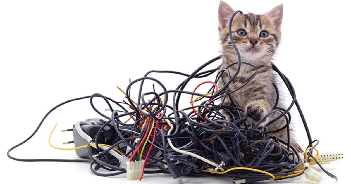 Кошка грызет провода — как скотч может помочь перевоспитать питомца ...