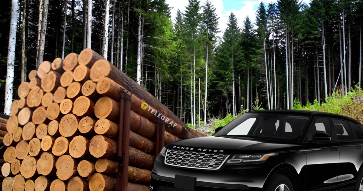 Ліс рубають – Range Rover купують: як працювала схема у столичній філії ДП "Ліси України"