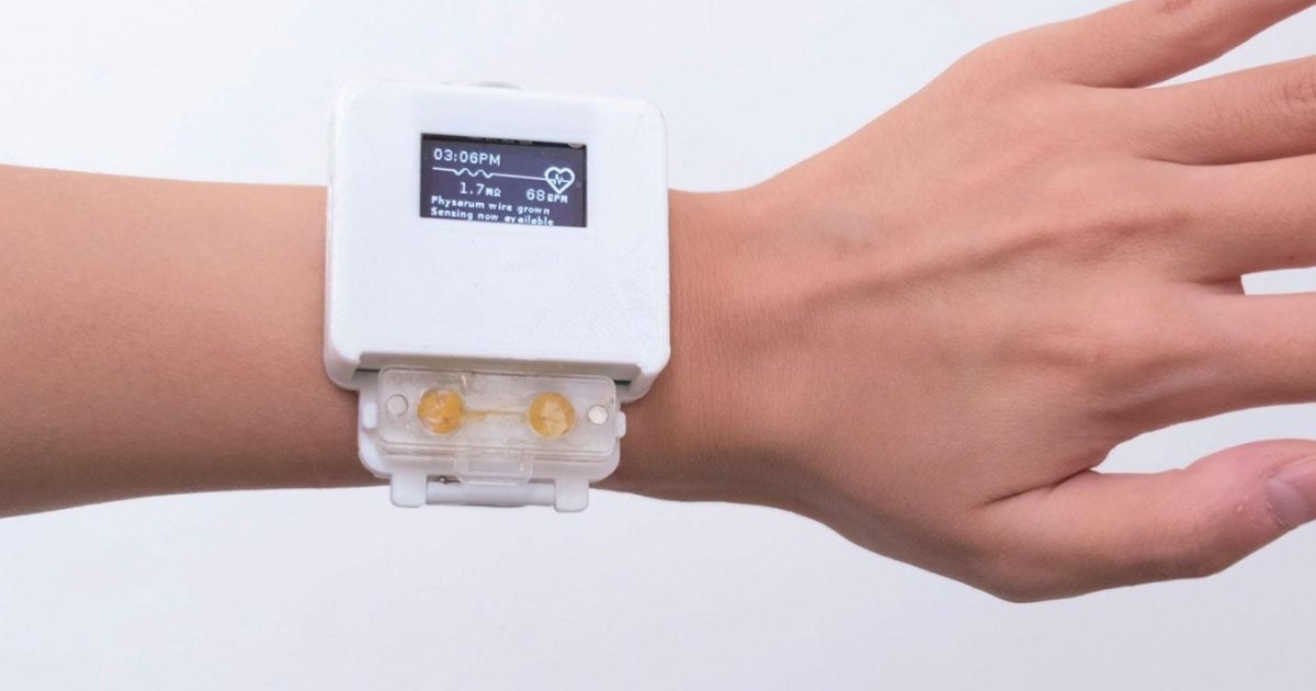 Умные часы с принципом работы тамагочи разработаны в США – новости ...