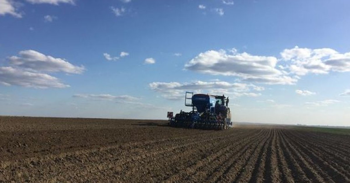 сельское хозяйство молдавии молдавии. поля в подмосковье засеяли яровыми. поле засеяли 18. невспаханное поле. поля засеянные кукурузой.