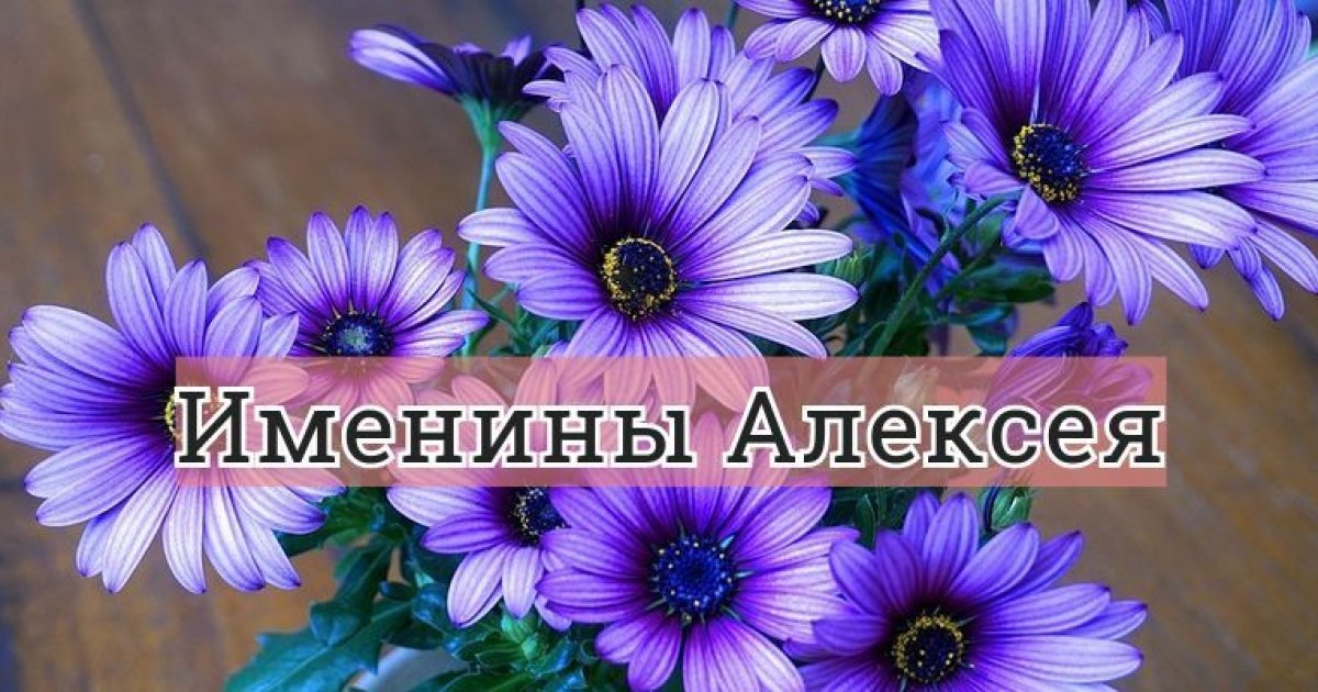 День алексея картинки. Именины Алексея. С именинами Алексей картинки. Именины имени Алексей. С именинами Алеша.