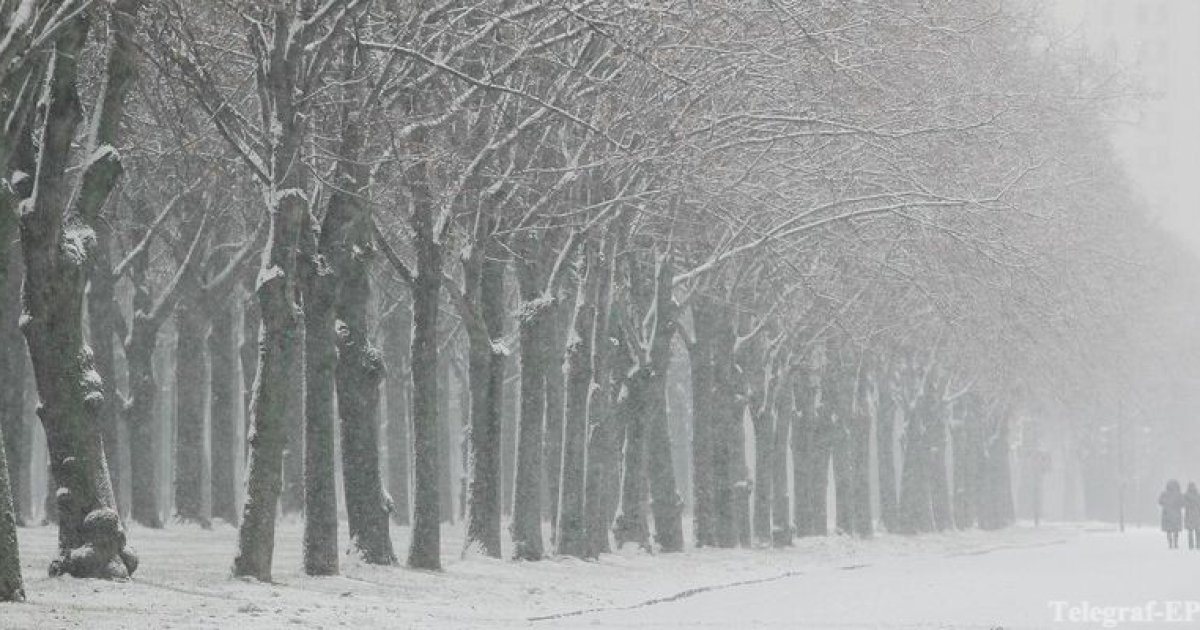 Russian weather. Снегопад. Снег идет. Пасмурно сильный снег. Идет сильный снег.