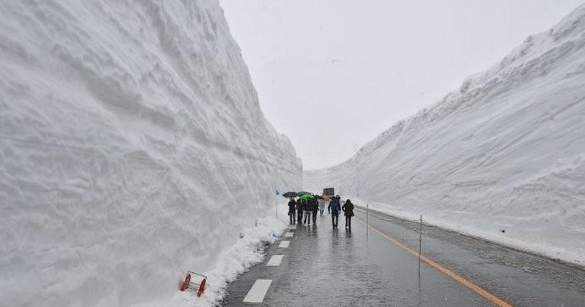 Самые большие сугробы. Снежный коридор Татэяма Куробэ в Японии. Высокие сугробы. Огромные сугробы.