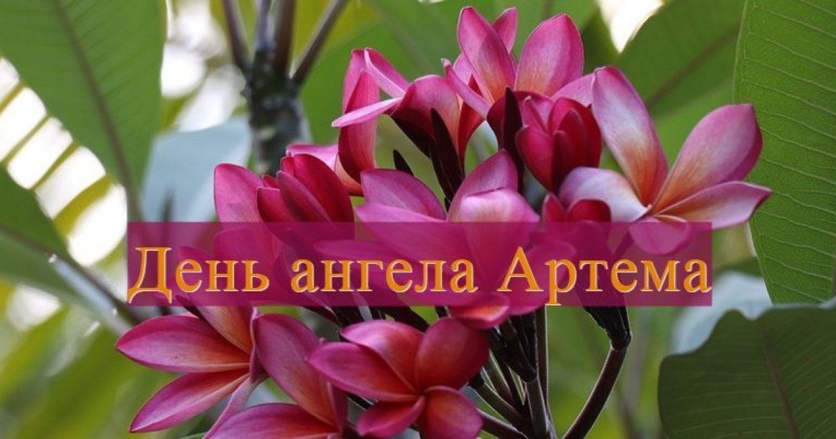 С днем артема картинка. День ангела Артема. С днем ангела Артем. Артёма с днём ангела. Открытки с именинами Артема.