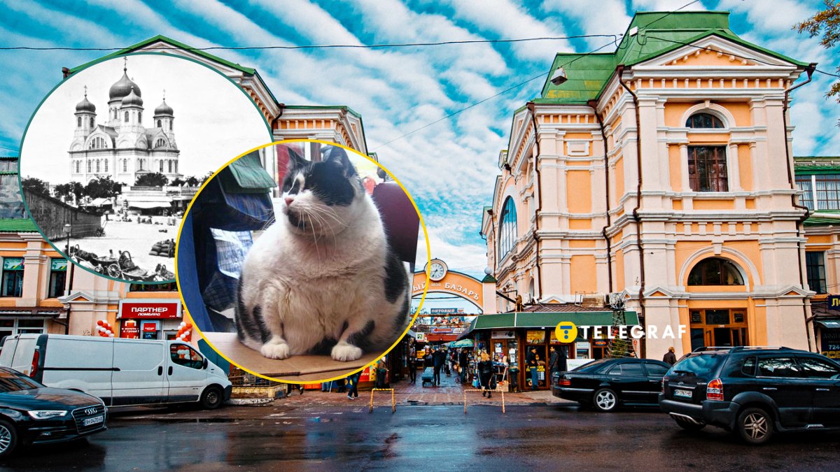 Орыс свингерлері Одесса