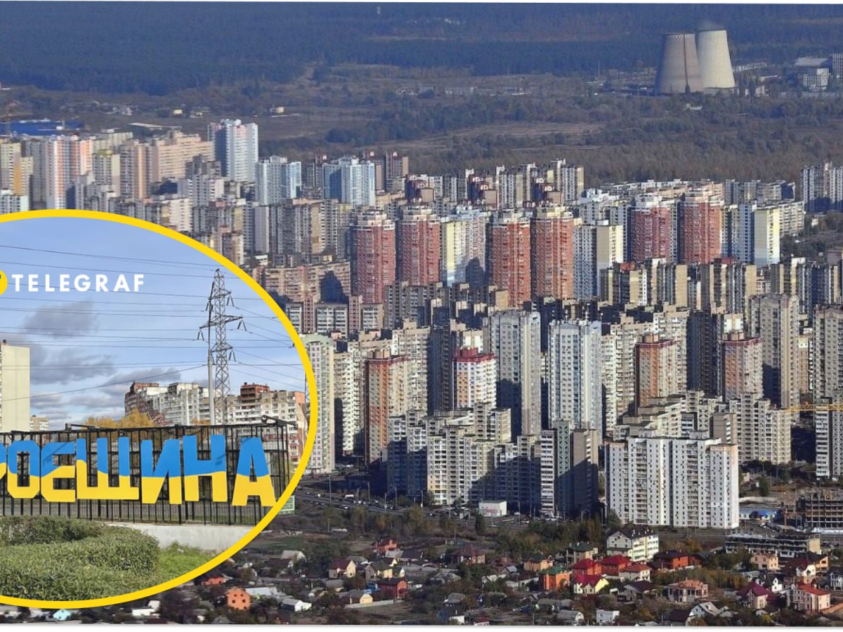 Telefon bilan olingan sargish kokrak suratlari