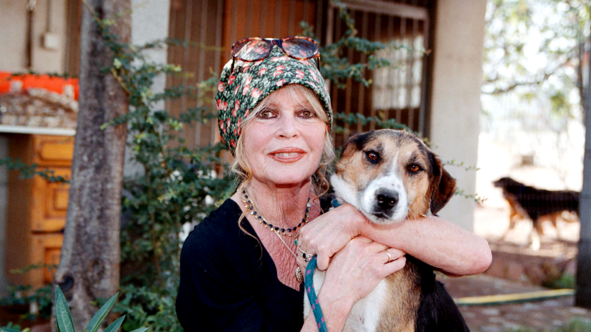 Брижит Бардо