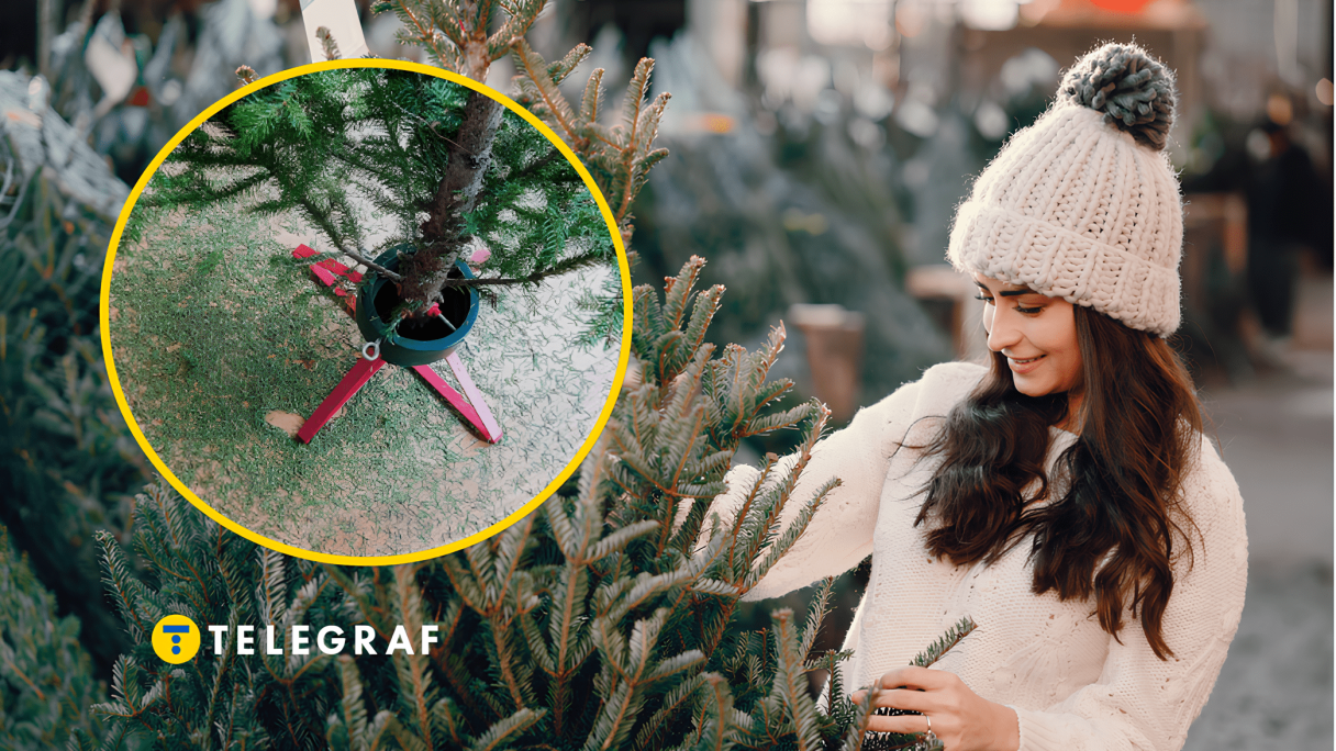 Новогодняя елка