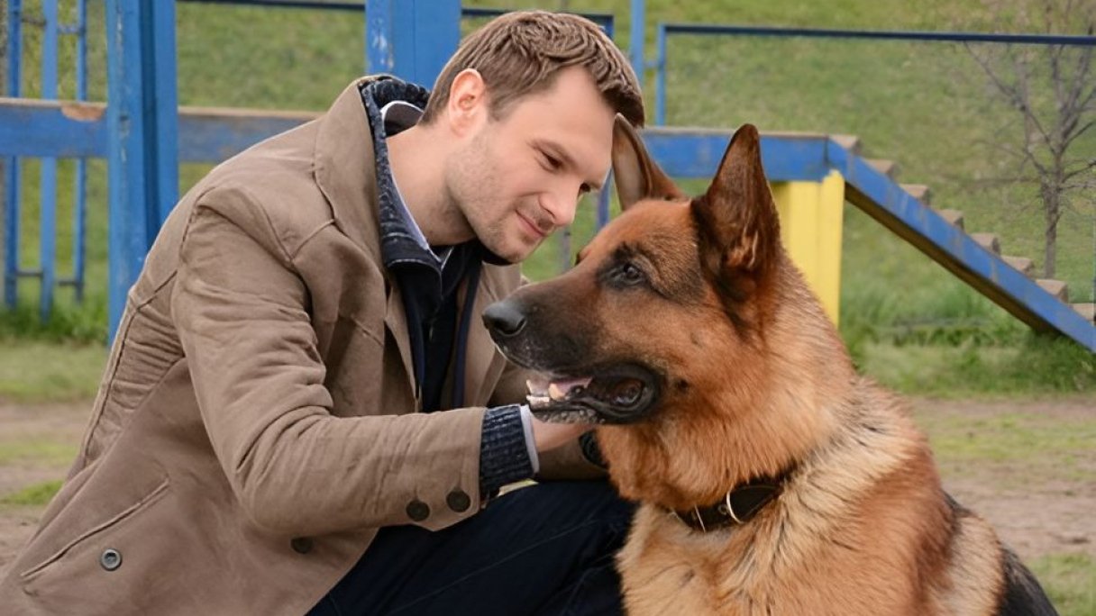 Сериал "Мухтар. Новый след"