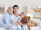 Почему отцы проводят мало времени с сыновьями?