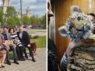 Роджер і його викрадачі