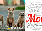 Цуценята