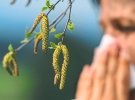 Пилок багатьох видів рослин може викликати у людей алергію
