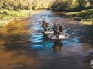 ВСУ высадились на левом берегу Херсонщины, прорвали оборону и "наловили трофеев"? Кадры захватывают дух (видео, обновлено)