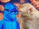 Болезнь зафиксировали уже во многих странах мира