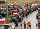 Протесты польских фермеров