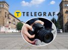 Аист заметили в центре Запорожья