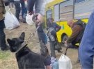 "Люди бояться повторної окупації": у Вовчанську просто під обстрілами РФ триває масова евакуація (відео)
