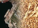 Зерно завантажують у Криму