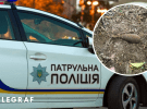 Патрульных вызвали сознательные граждане