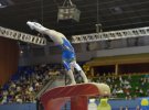 Спортивная гимнастика