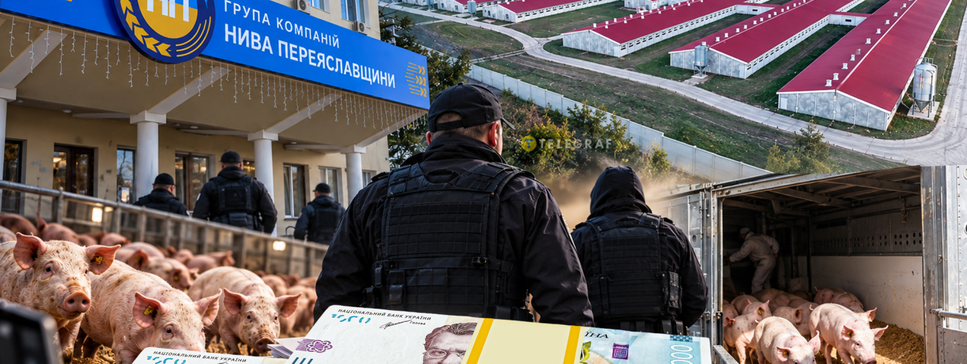 Свиньи в тени "российский граф" в руководителях и претензии силовиков на 7,5 млрд грн: интересные факты из жизни агрохолдинга Героя Украины
