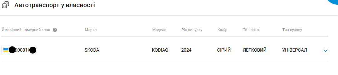 Виктория Пупена, автомобиль