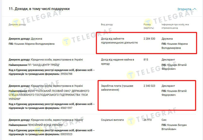 Виталий Кошмак, ООО Дерево Сила, доходы