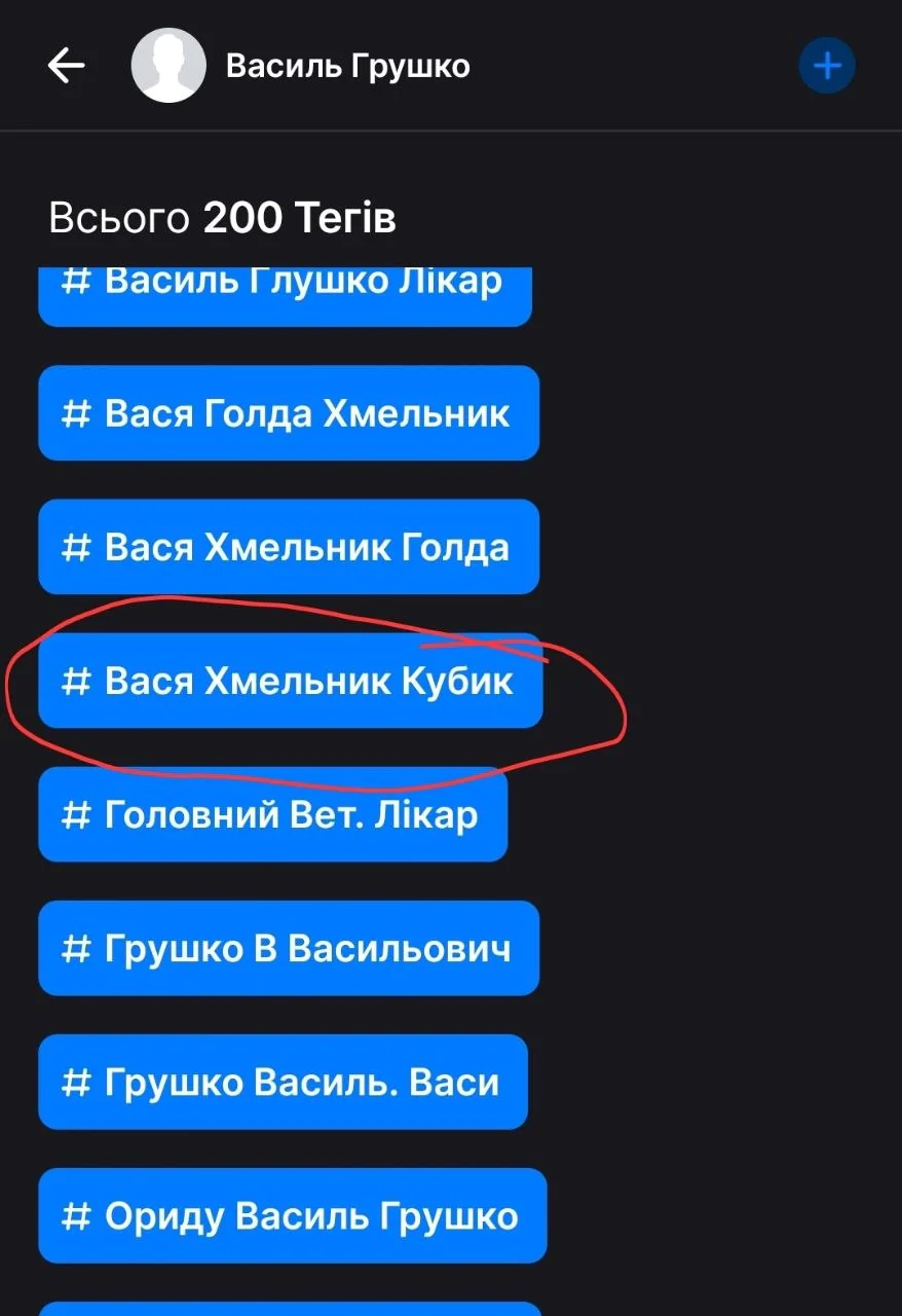 Василий Грушко, Госпотребслужба, Винница