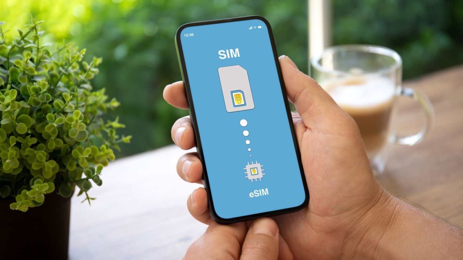 SIM-карта заблокирована – какое это исправить без PIN-кода - Телеграф