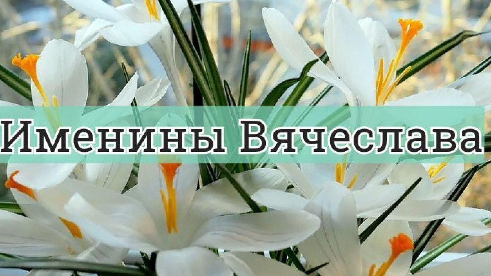 Поздравление Вячеслава с именинами Славы